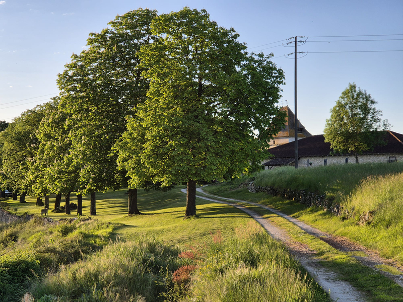 Photo de couverture de Christine Renard - Stress relationnel - Régulation émotionnelle - Médiation